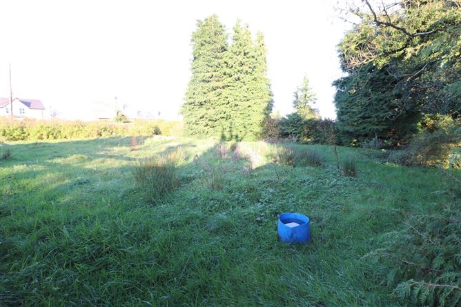 Rosies Cottage, Drumrora, Ballyjamesduff, Co. Cavan
