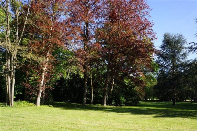 Private, Les Trois Brioux, Cher, Charentonnay