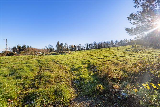 Woodlands House, Ballinacooley, Glenealy, Wicklow