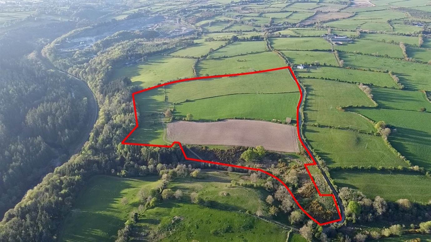 Ticlash (C. 38.7 Acres), Rathdrum, County Wicklow