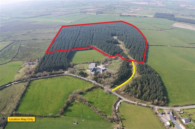 Mature Forestry Plantation C.59.35 Crandaniel, Kilmuckridge, Wexford