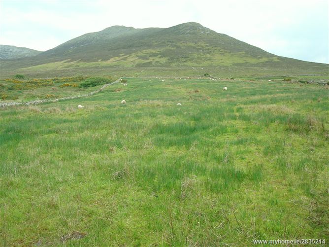 Lecanvey, Westport, Co Mayo