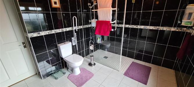 Derreenavoggy, Arigna, Carrick-On-Shannon, Roscommon