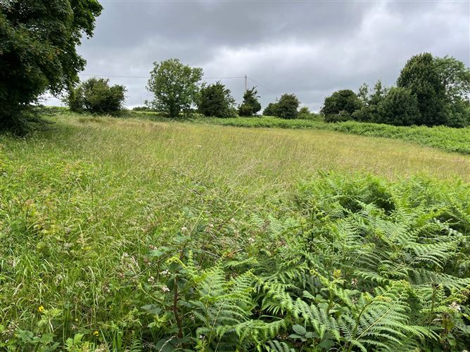 Ballinavally, Castlewarren, Clara, Kilkenny