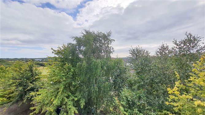 14 Springdale, Clonattin Village, Gorey, Wexford