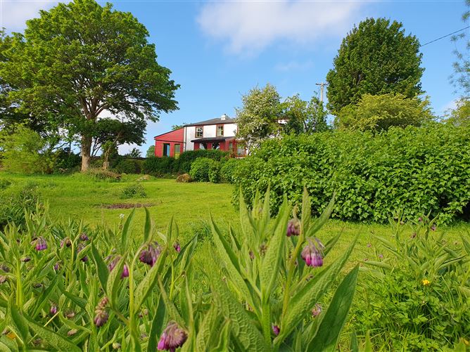 Shanclough, Currabaggan, Knockmore, Ballina, Mayo