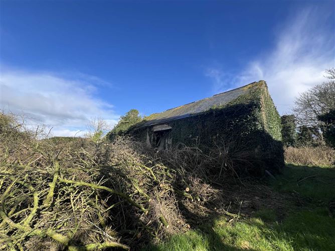 Moanmore, Grange, Clonmel, County Tipperary