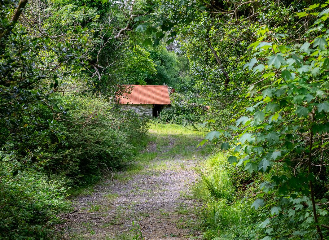 Stay Bank House, Tahilla, Sneem, Co. Kerry Stay Bank House, Tahilla, Sneem, Co. Kerry