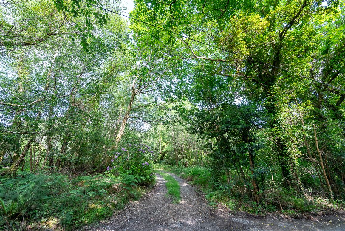 Stay Bank House, Tahilla, Sneem, Co. Kerry Stay Bank House, Tahilla, Sneem, Co. Kerry