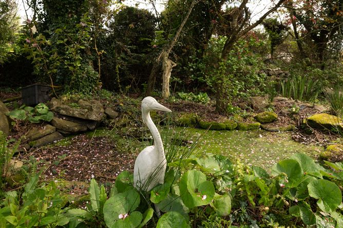 Beaulieu, Lackenroe, Glounthaune, Cork