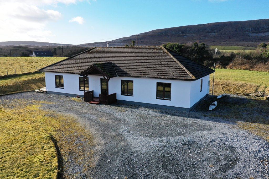Pollack, Carron, Co. Clare