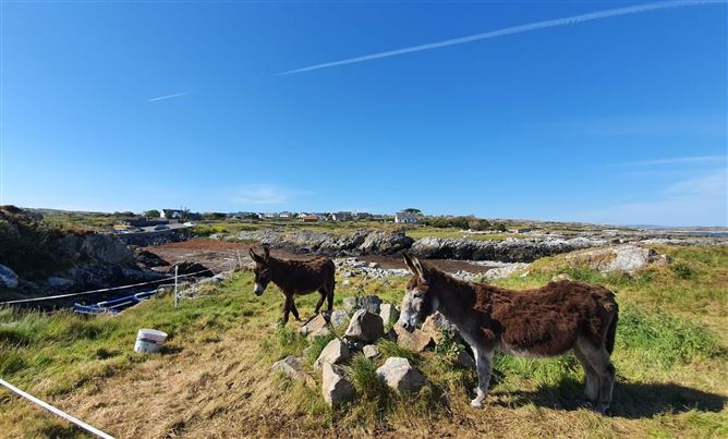 Sea View Connemara,