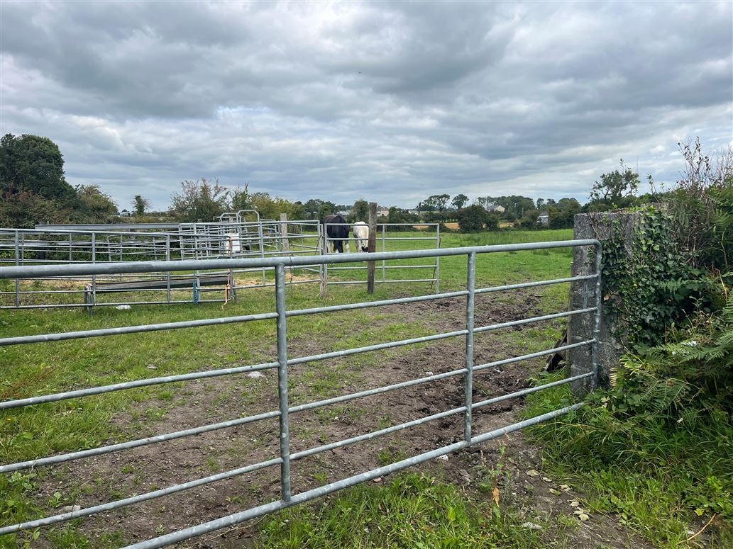 Belleville, Monivea, Co. Galway