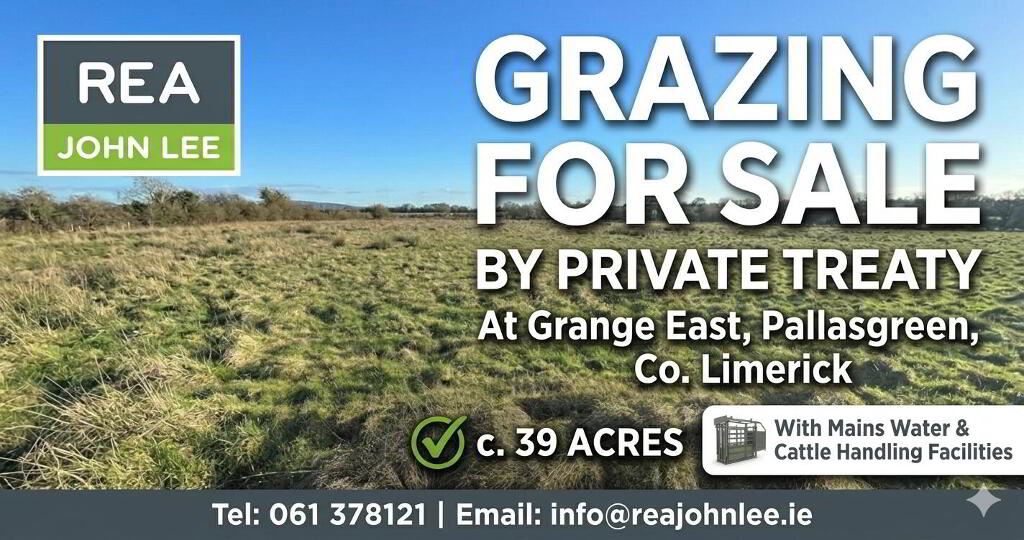 Pallasgreen, Grange East, Limerick