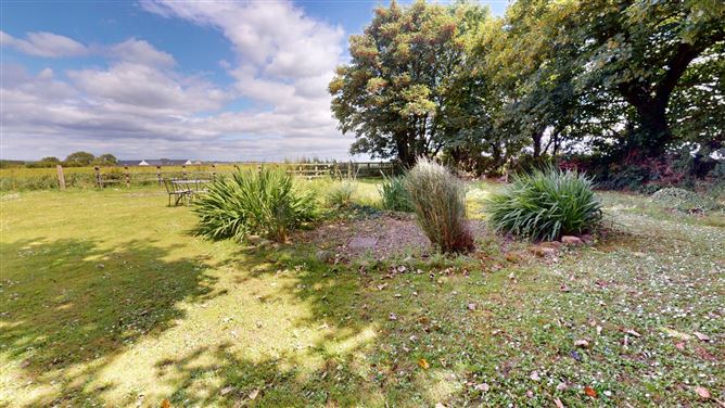 Clonmines, Wellingtonbridge, Co. Wexford