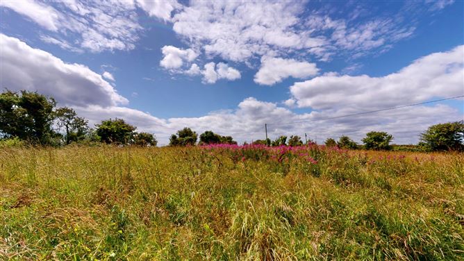 Clonmines, Wellingtonbridge, Co. Wexford