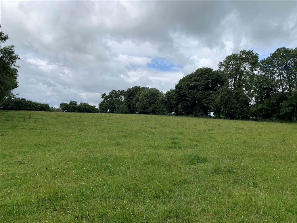 Moneymore, C.25 acres, Grange Con, Wicklow