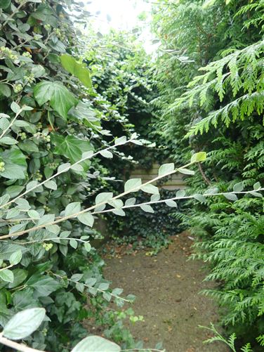 9, Sycamore Park, Kingswood, Tallaght, Dublin 24
