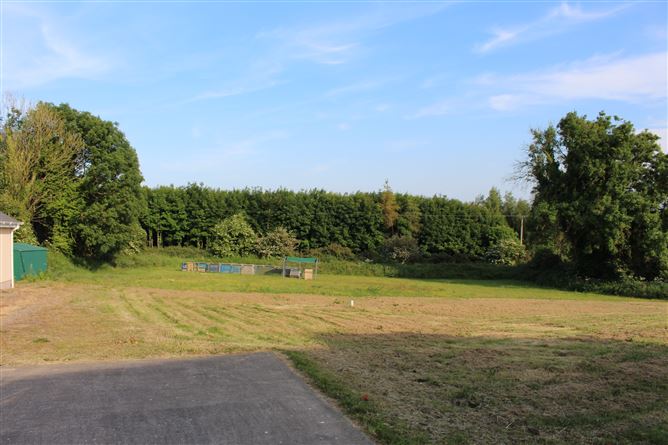 Raheen, Ballyduff, Camolin, Wexford