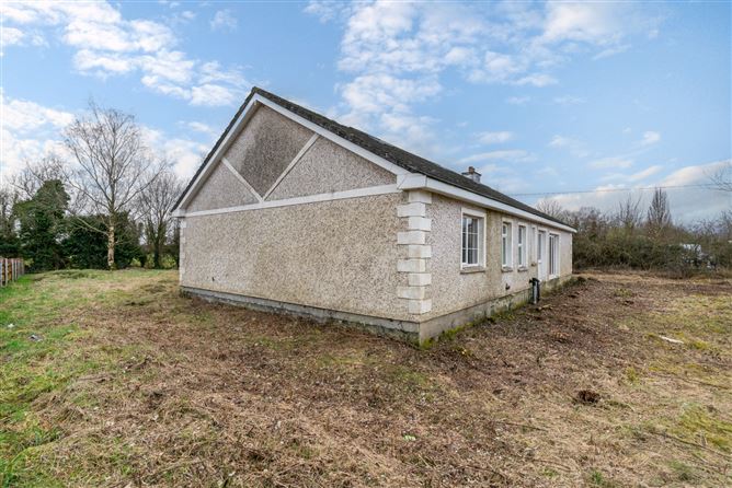 Kings Bog, The Commons, Newtown, Kildare.