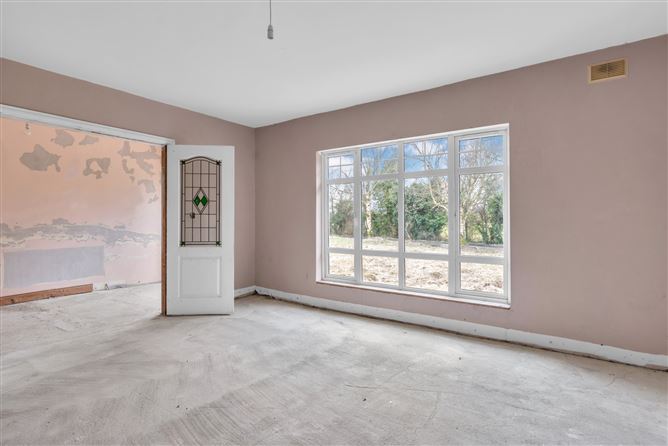 Kings Bog, The Commons, Newtown, Kildare.