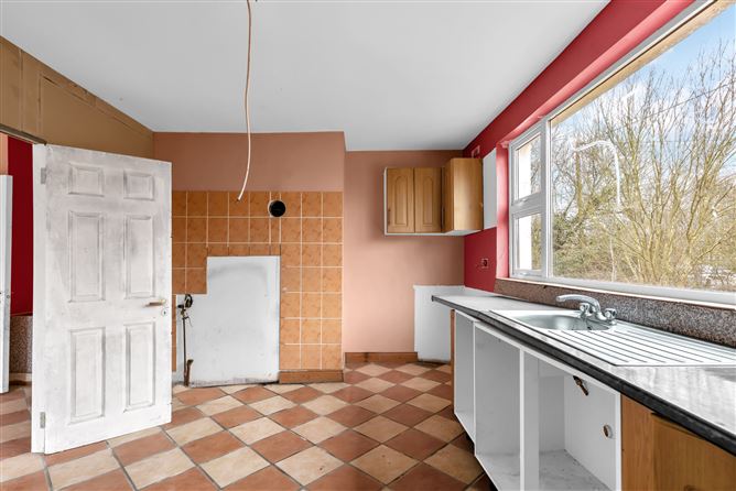 Kings Bog, The Commons, Newtown, Kildare.