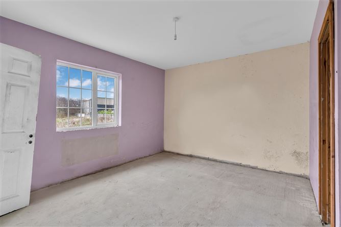 Kings Bog, The Commons, Newtown, Kildare.