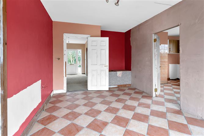 Kings Bog, The Commons, Newtown, Kildare.