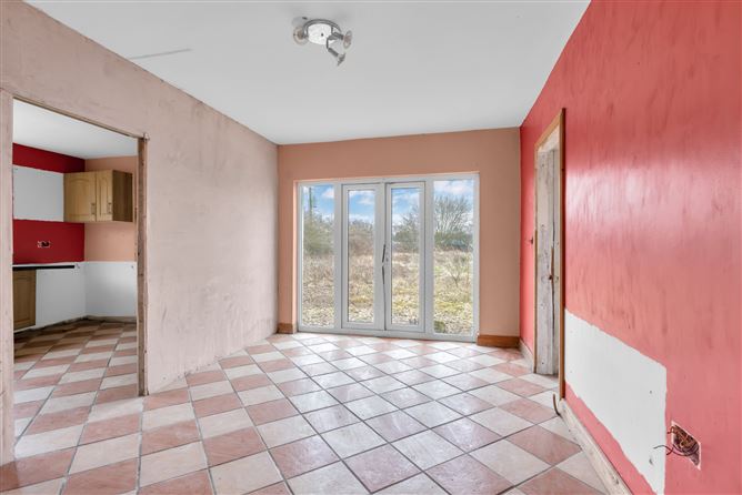 Kings Bog, The Commons, Newtown, Kildare.