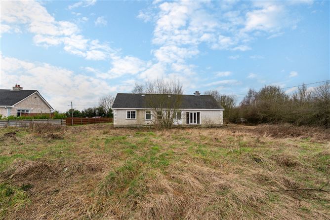 Kings Bog, The Commons, Newtown, Kildare.