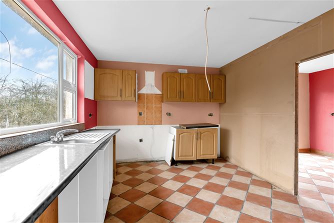 Kings Bog, The Commons, Newtown, Kildare.