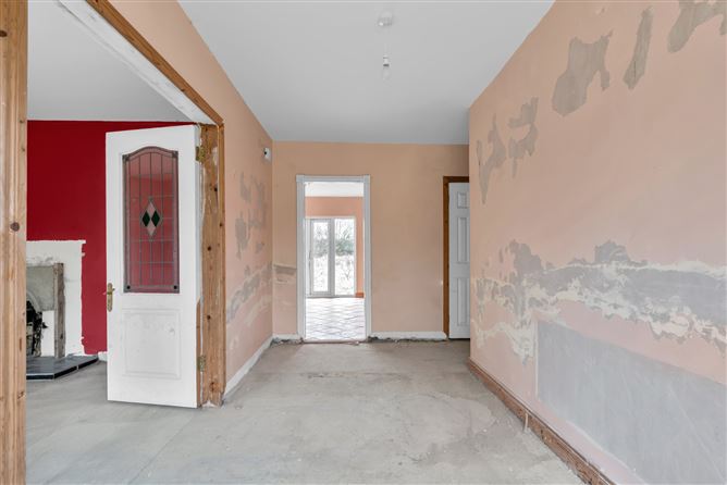 Kings Bog, The Commons, Newtown, Kildare.