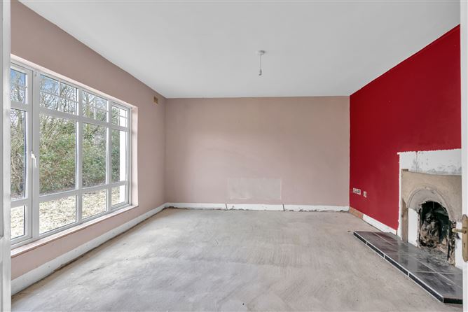 Kings Bog, The Commons, Newtown, Kildare.