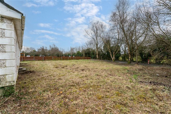 Kings Bog, The Commons, Newtown, Kildare.