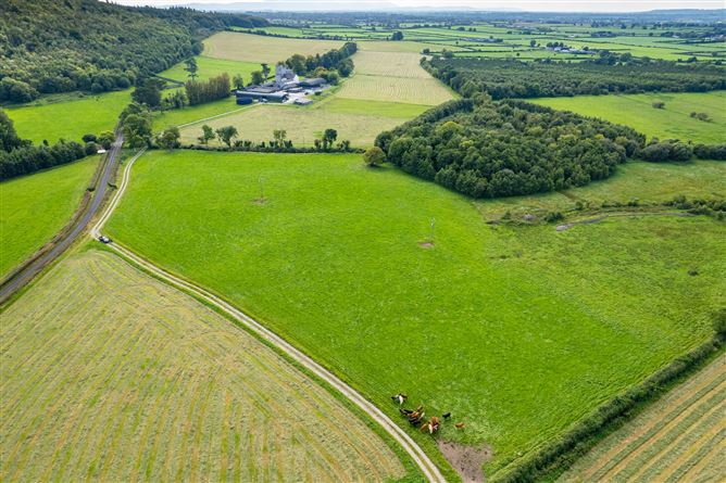 Killough Castle and Farm, Thurles, Co. Tipperary