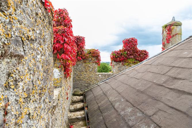 Killough Castle and Farm, Thurles, Co. Tipperary