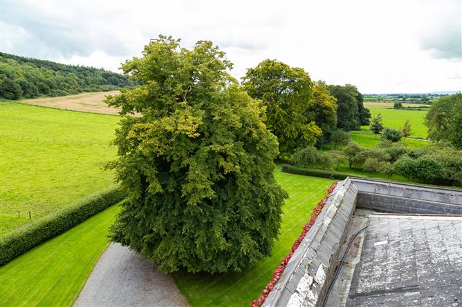 Killough Castle and Farm, Thurles, Co. Tipperary