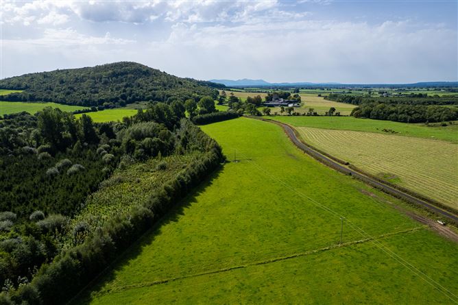 Killough Castle and Farm, Thurles, Co. Tipperary