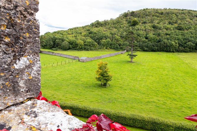 Killough Castle and Farm, Thurles, Co. Tipperary