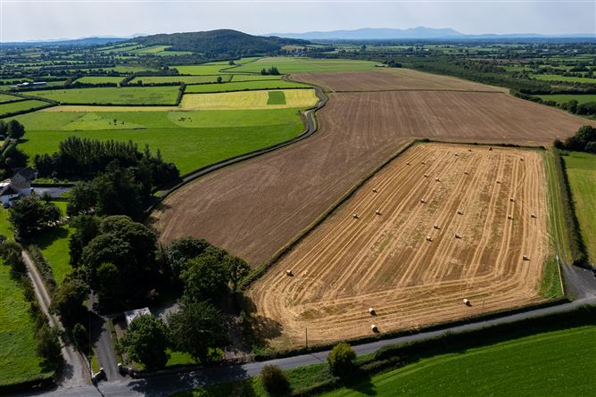 Killough Castle and Farm, Thurles, Co. Tipperary