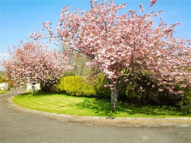 Inshallah, Station Road, Kilbannon, Co. Galway