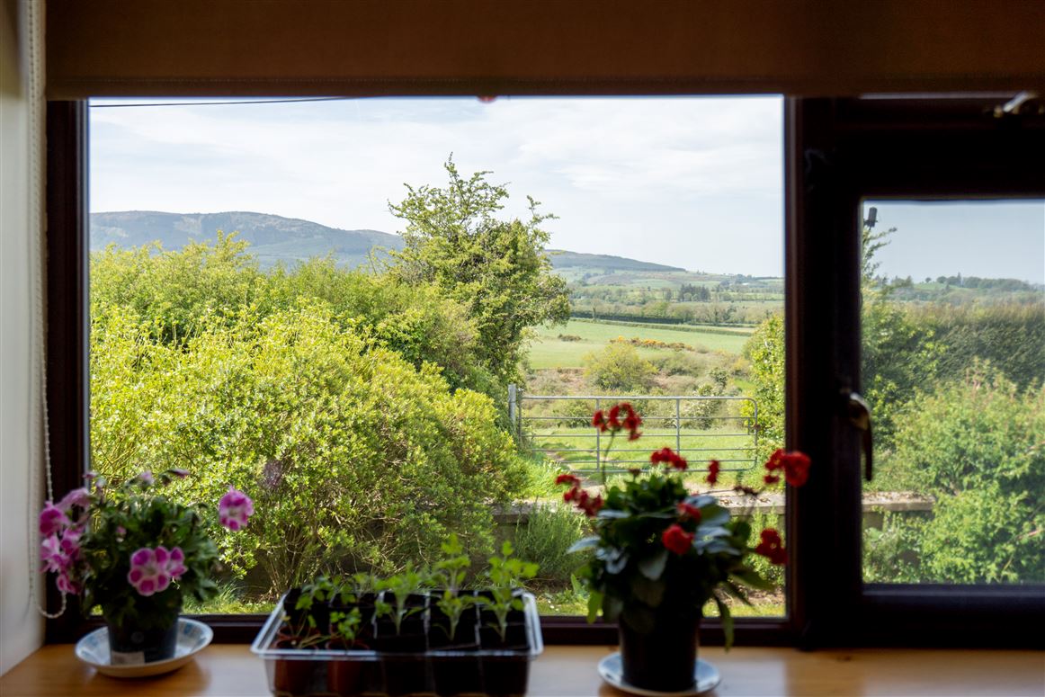 Ballylina Upper , Kilfinane, Limerick