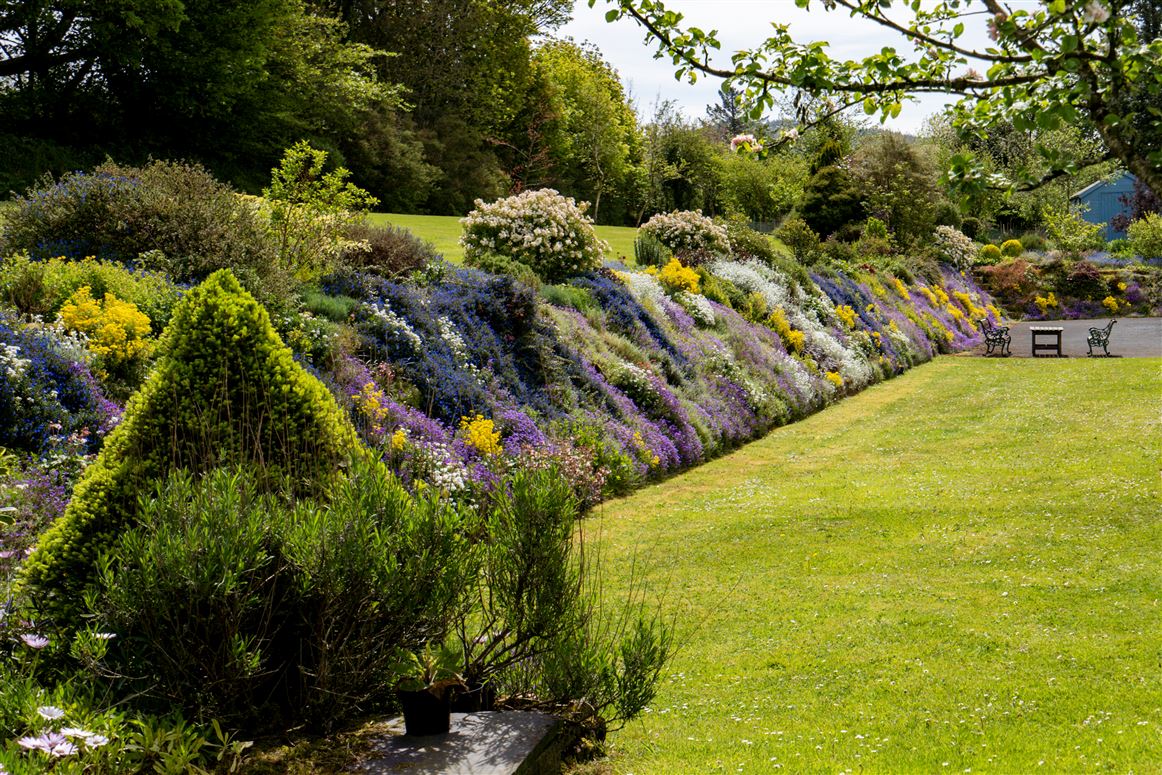 Ballylina Upper , Kilfinane, Limerick