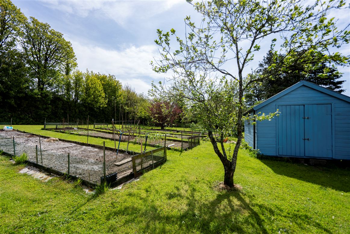 Ballylina Upper , Kilfinane, Limerick