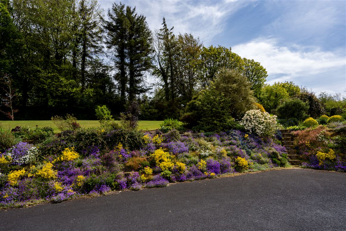 Ballylina Upper , Kilfinane, Limerick