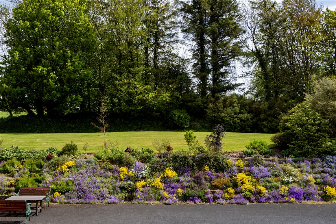 Ballylina Upper , Kilfinane, Limerick