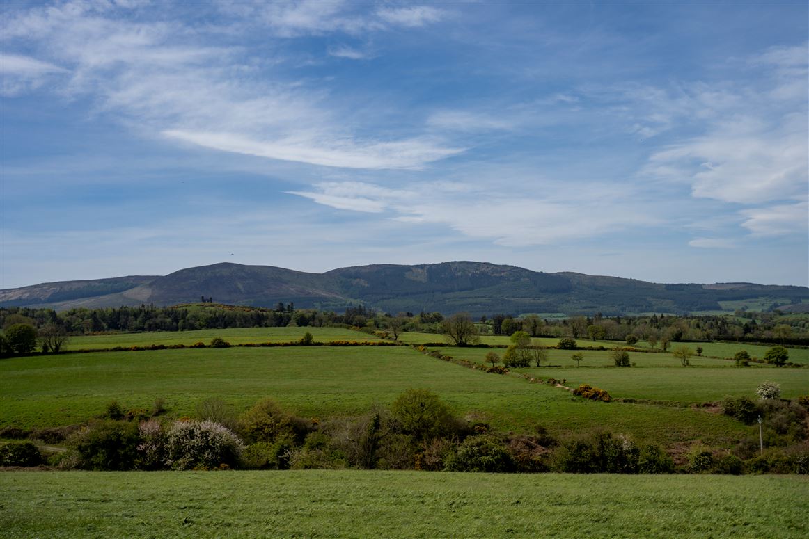 Ballylina Upper , Kilfinane, Limerick