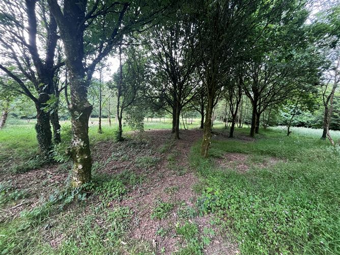 Photo 22 of 29 — Middleline North, Scarriff, Clare