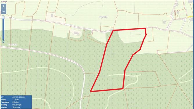 Lands At Kylatlea, Mullinahone, County Tipperary