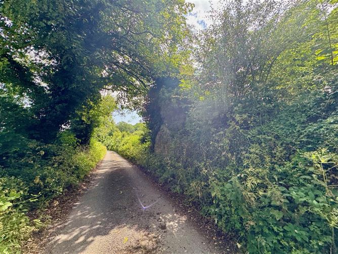 Photo 6 of 6 — Lands At Kylatlea, Mullinahone, County Tipperary